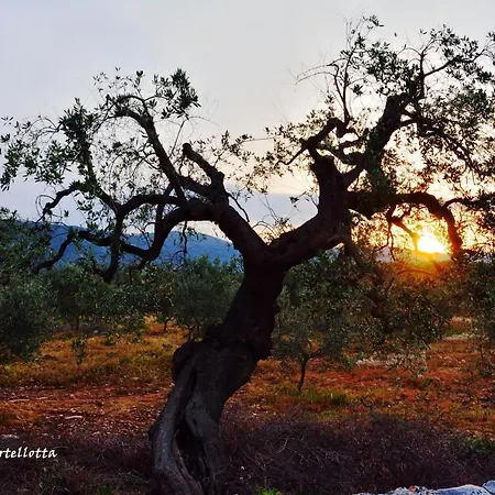 Butterfly Appartamento *