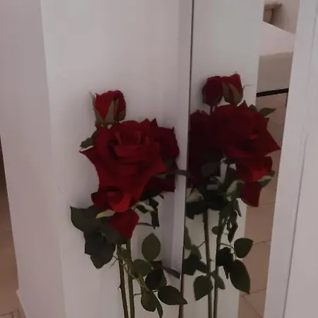 Butterfly Appartamento *